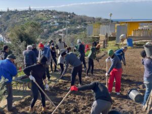 operazione primavera procida