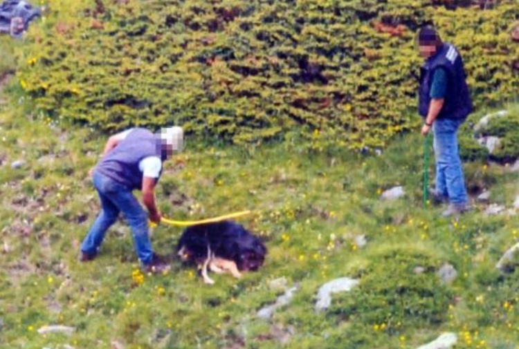 Basta Violenza Sugli Animali Sosteniamo La Campagna Che Li Difende