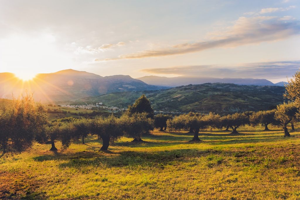 Banca delle Terre Agricole