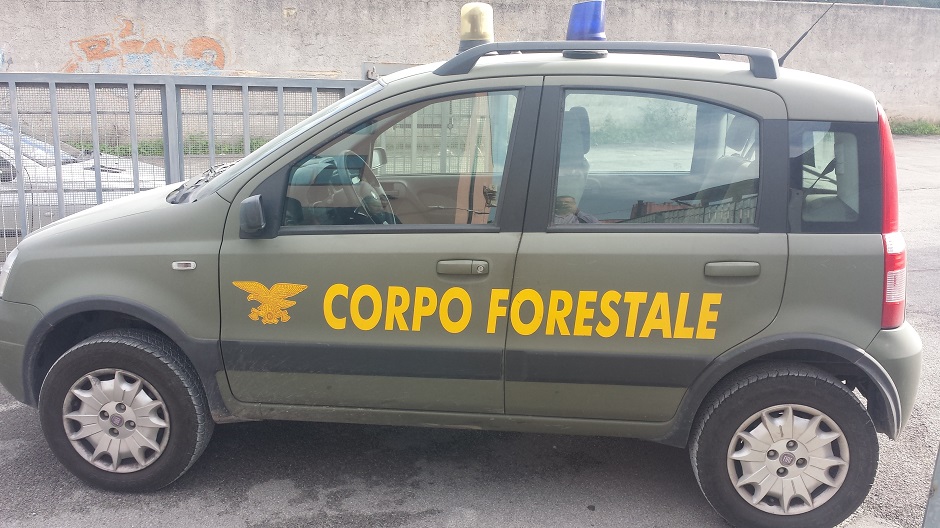 Corpo Forestale Sicilia, al via il concorso per 46 agenti forestali